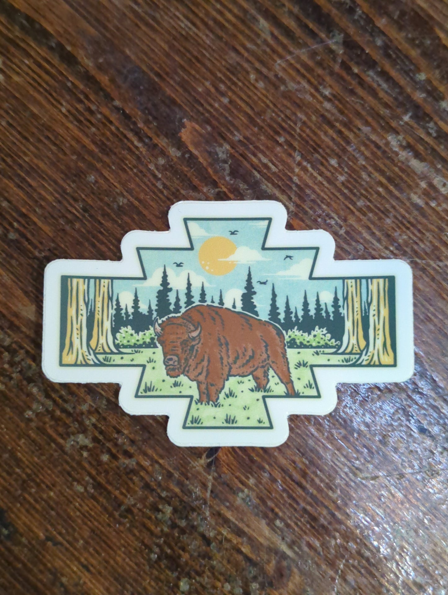 Bison in Nature