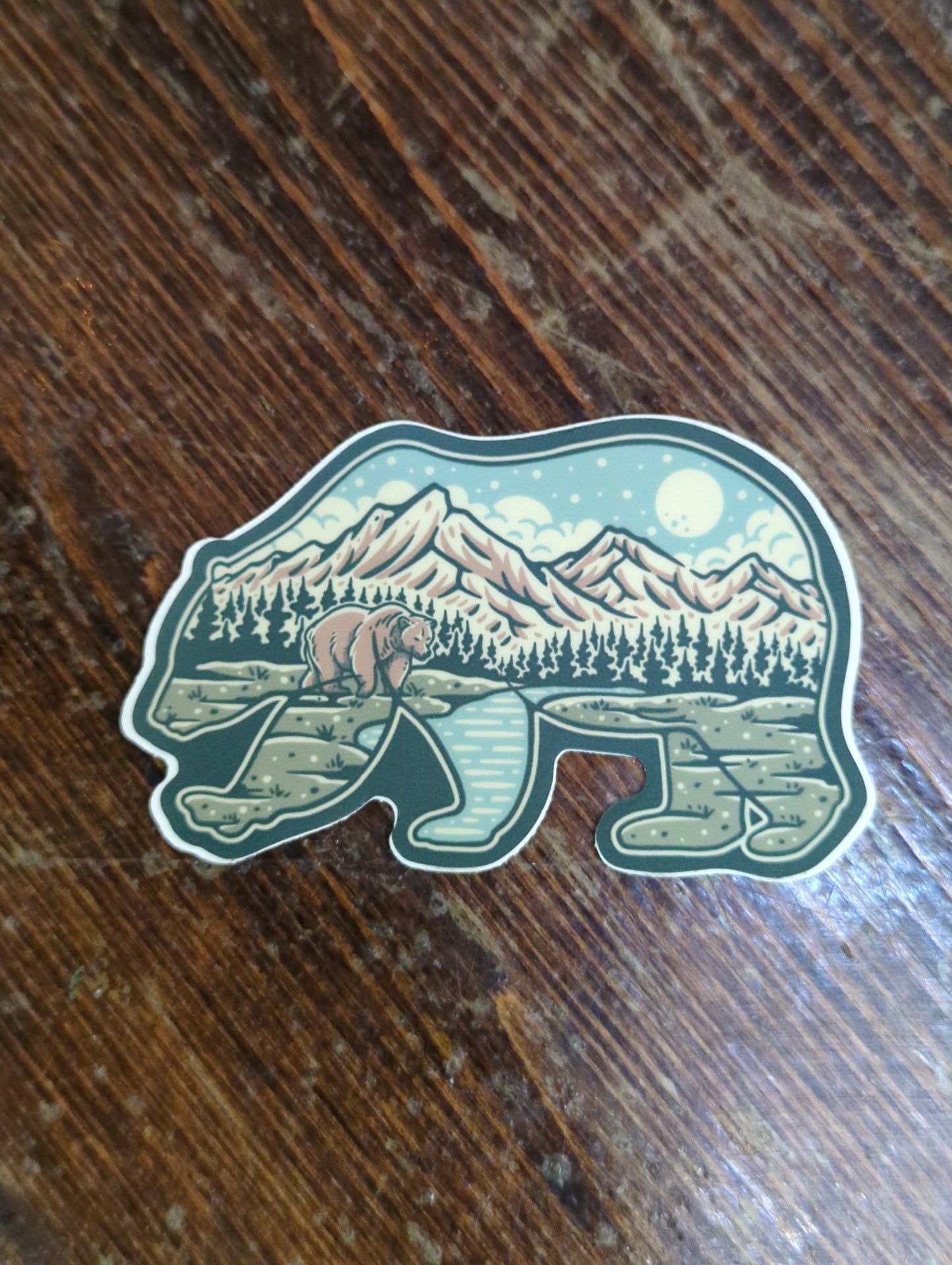 Bear in Nature